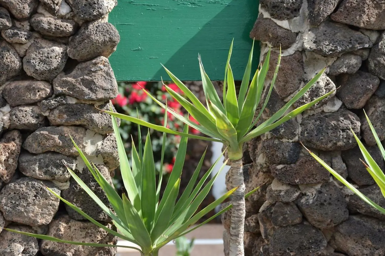 Ave Paraiso - Cozy And Sunny House Puerto del Carmen  Puerto del Carmen (Lanzarote)